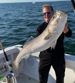 Striped Bass Bonanza in Freeport, NY!